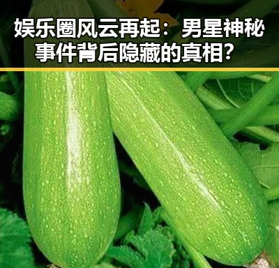 娱乐圈风云再起：男星神秘事件背后隐藏的真相？