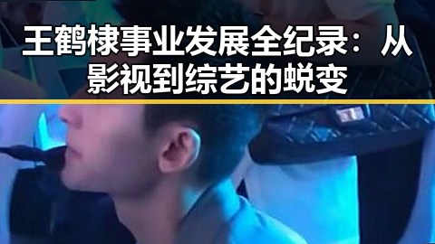 王鹤棣事业发展全纪录：从影视到综艺的蜕变