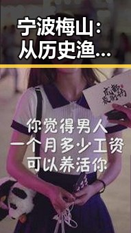 宁波梅山：从历史渔村到现代化港口新城的转型